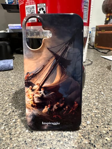 Customer photo review of The Storm on the Sea of Galilee | Rembrandt | 1633