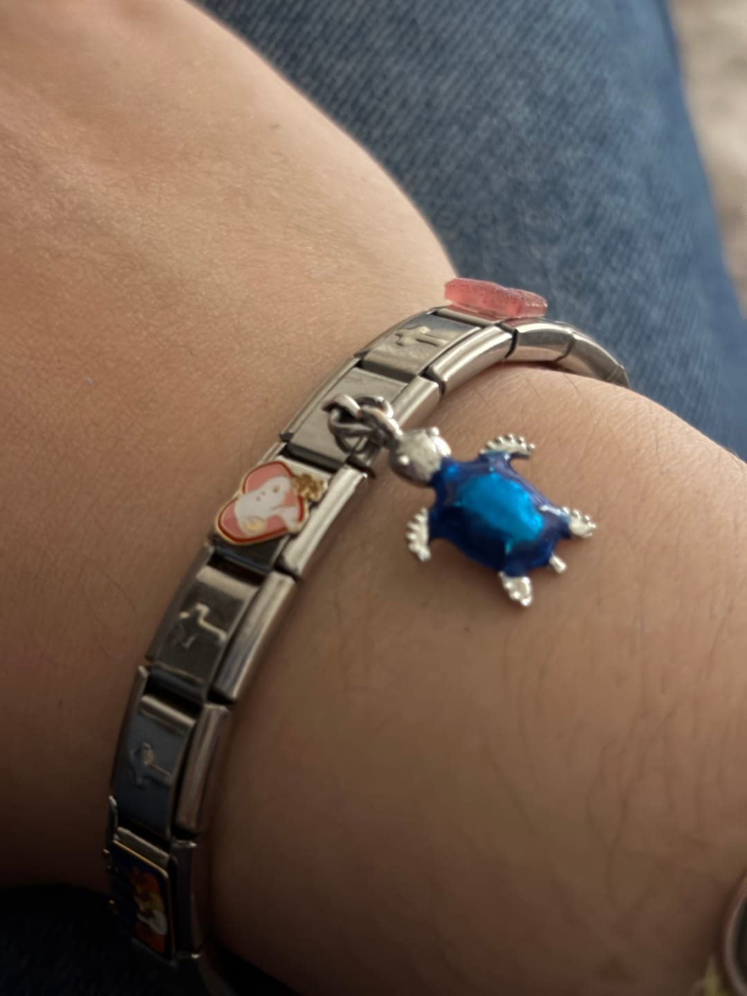 Customer photo review of Charm Tortuga