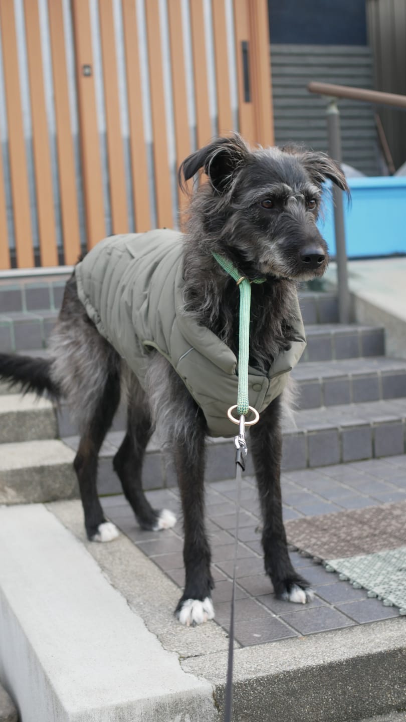Customer photo review of WarmShield Water-Resistant Jacket - Olive