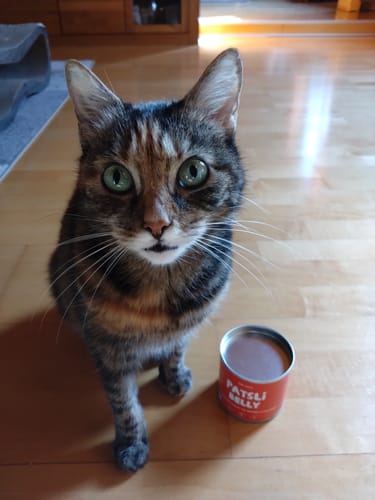 Customer photo review of Patsli® Belly