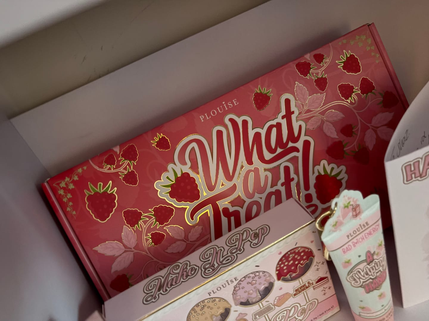 Customer photo review of What A Treat Bundle