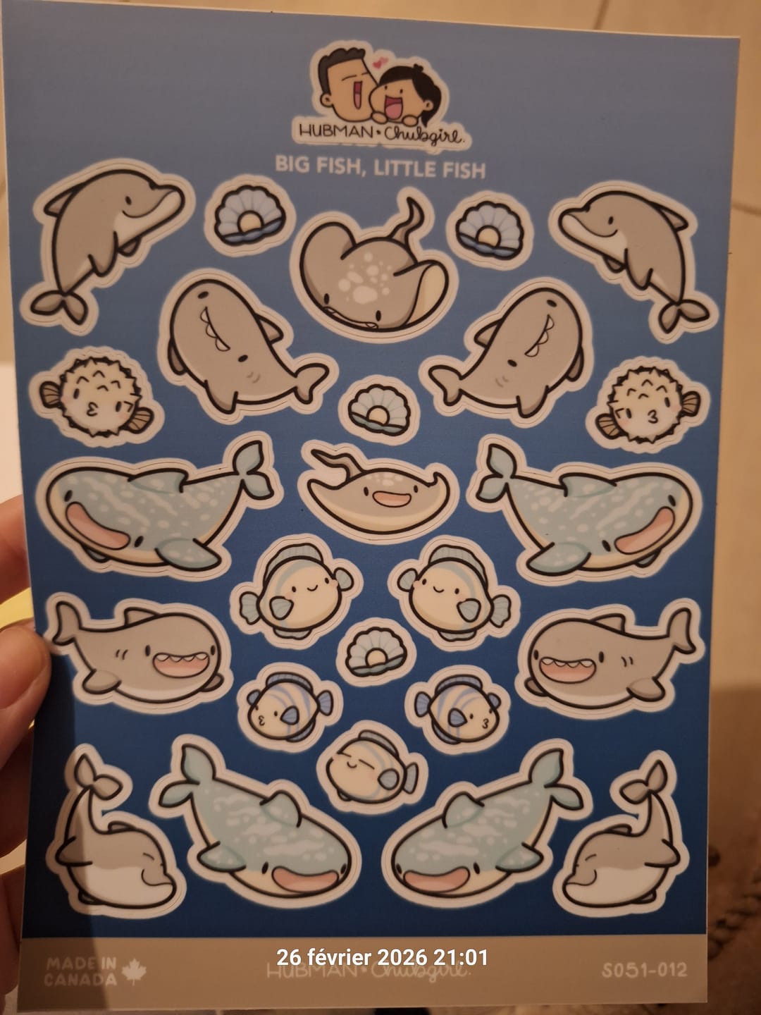 Customer photo review of Big Fish, Little Fish Sticker Sheet