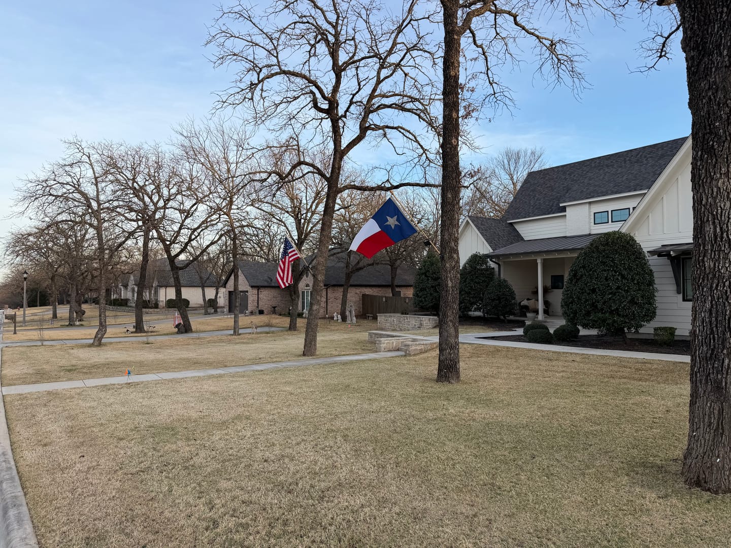 Customer photo review of 3' x 5' Texas Flag Set