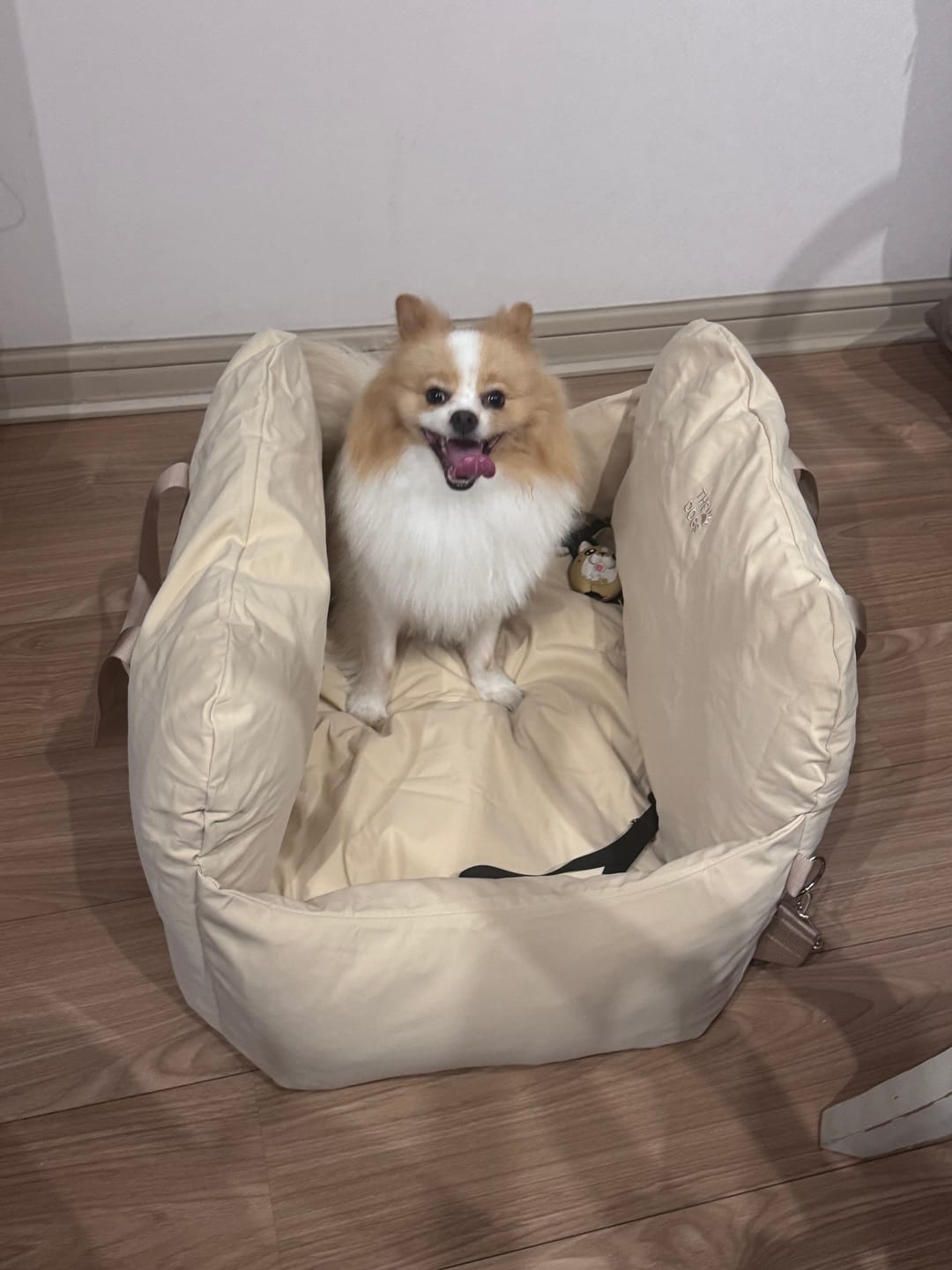 Customer photo review of Asiento Primera Clase THE DOGS — Viajes seguros y cómodos