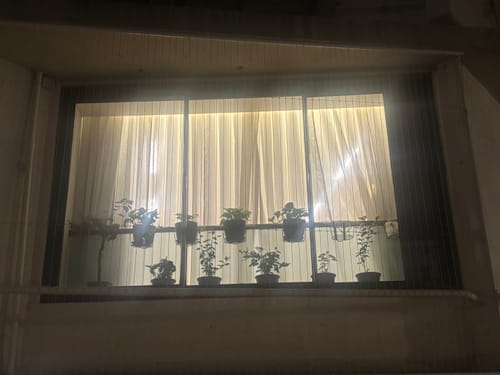 Customer photo review of UnitedCrafts Heart Railings Stands for Balcony & Home Decoration