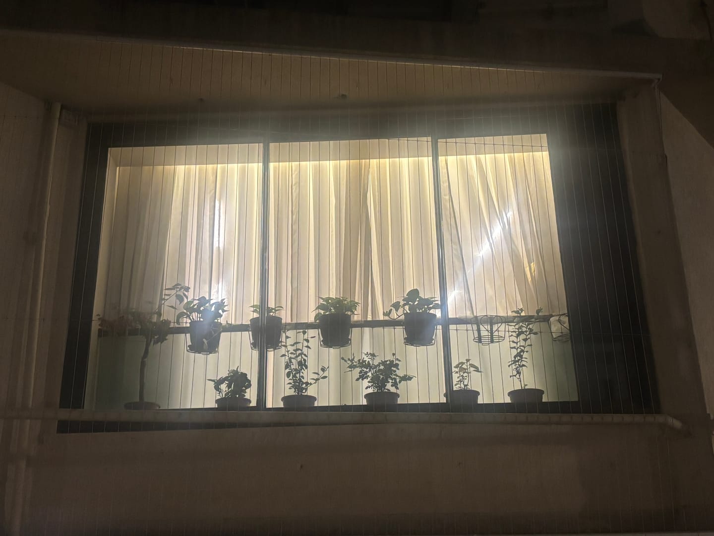 Customer photo review of UnitedCrafts Heart Railings Stands for Balcony & Home Decoration