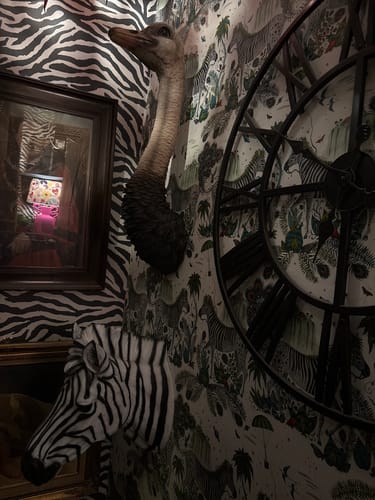 Customer photo review of Wall Mounted Head - Serious Ostrich