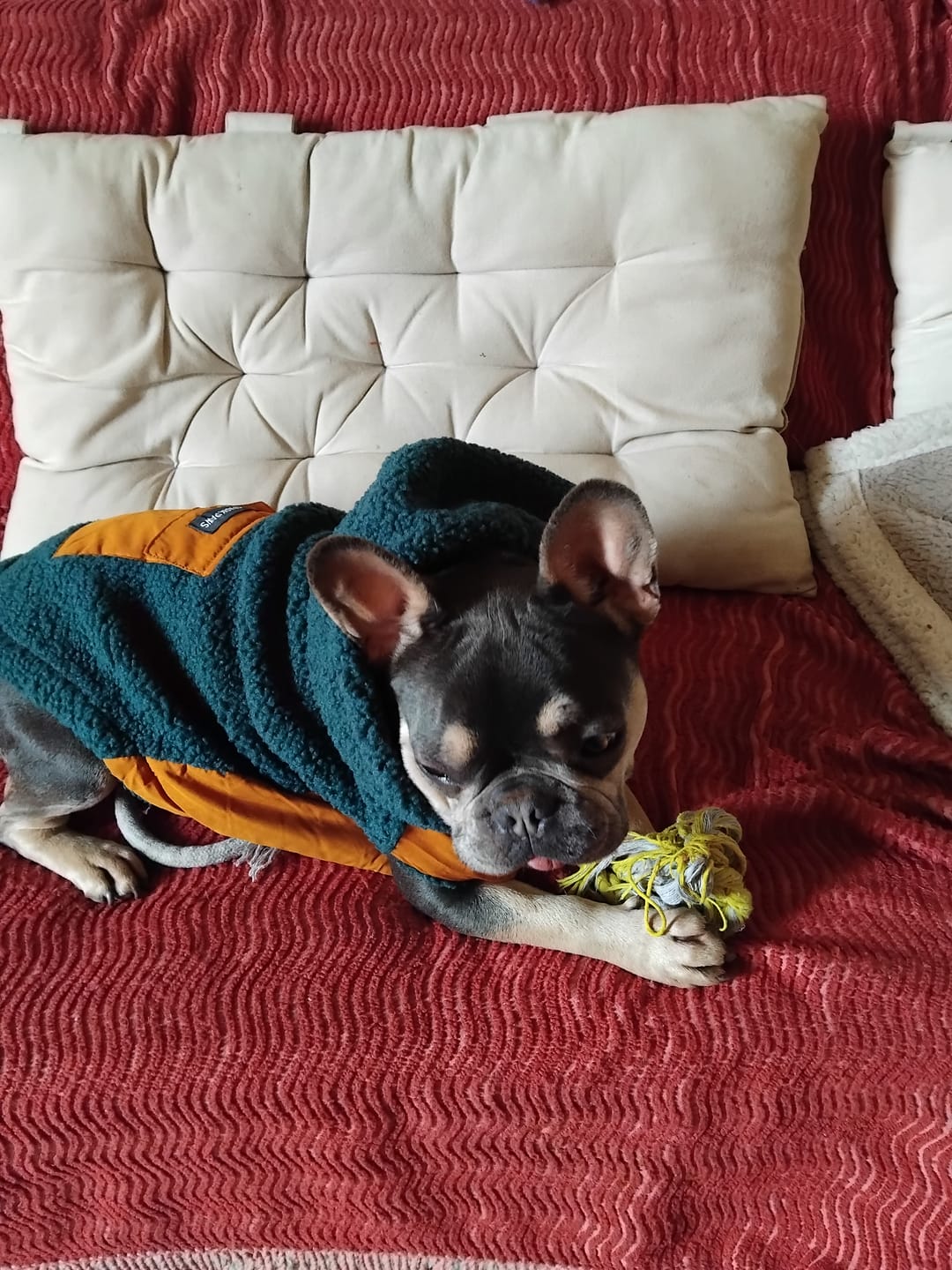 Customer photo review of Reversible Sherpa Jackets