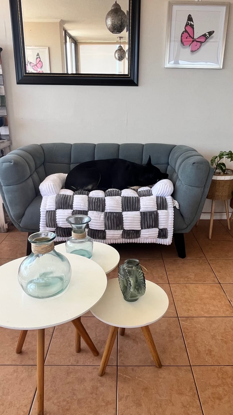 Customer photo review of Camita de Sillón Signature — Sofá impecable, regalón feliz