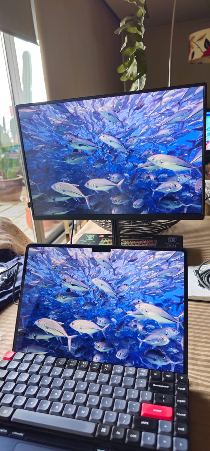 Customer photo review of 16” Portable Monitor + Stand