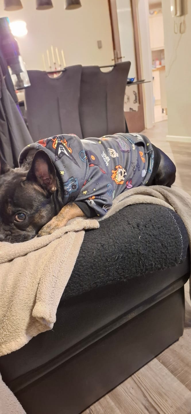 Customer photo review of Rock and Roll Dog Hoodie