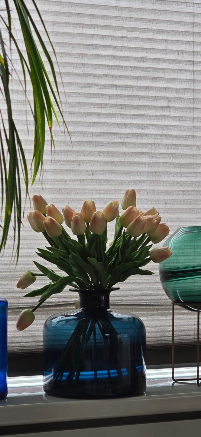 Customer photo review of Tulpen Boeket - Oud Roze (25 stengels)