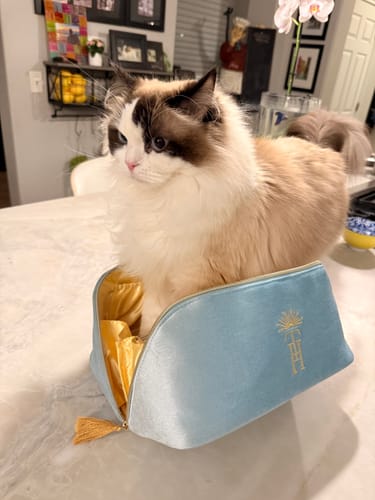Customer photo review of Sky Blue Velvet Tile Zipper Bag