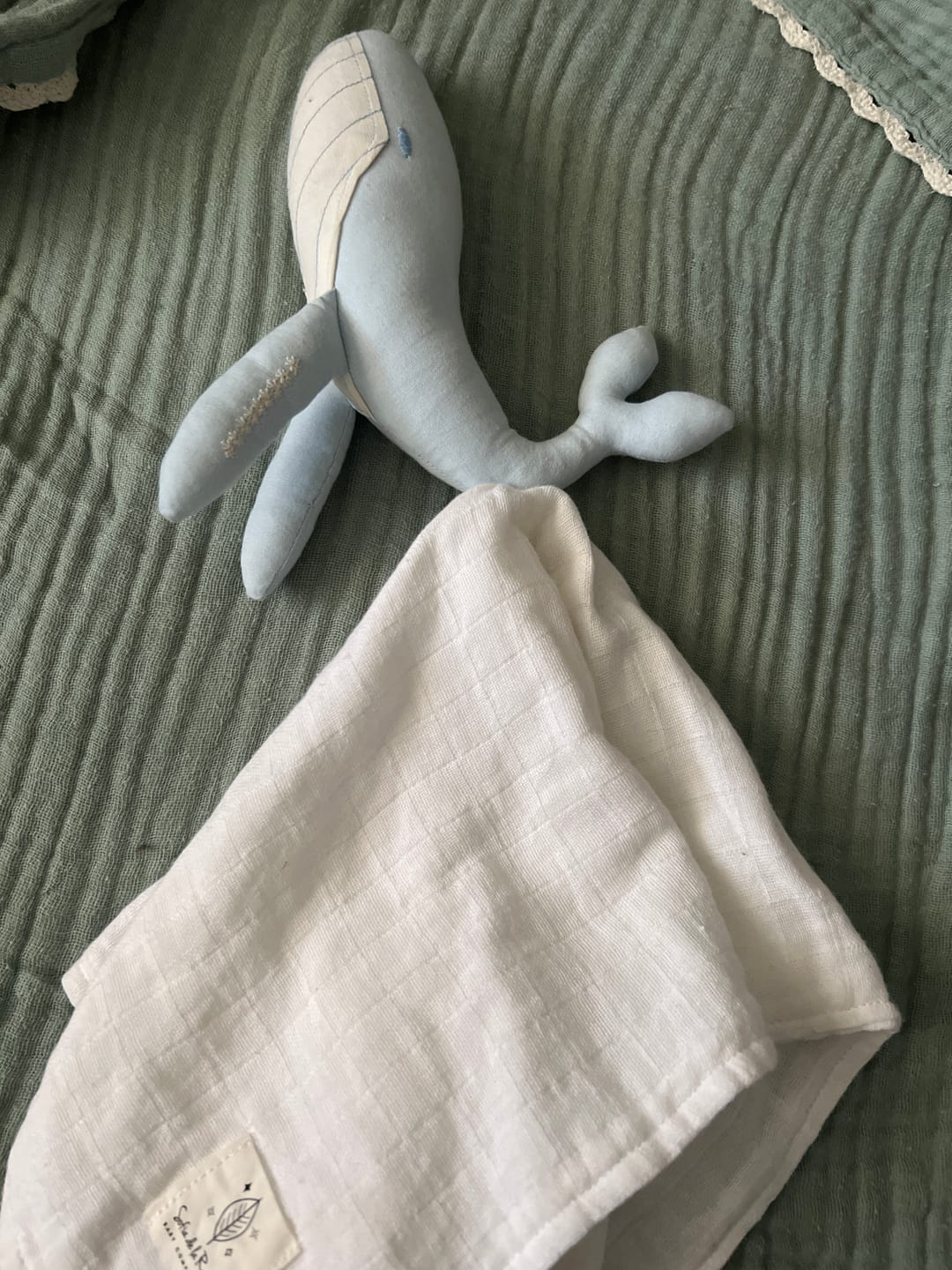 Customer photo review of Tuto Apego ✦ AURA Ballena