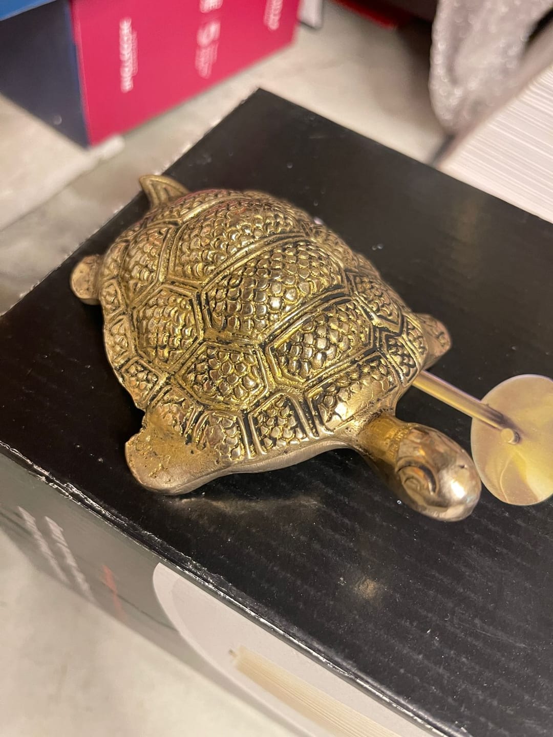 Customer photo review of Brass Tortoise/Turtle for Vastu | 4 Inch Feng Shui Brass Tortoise Showpiece for Wealth, Health & Longevity by Vastu Mandir