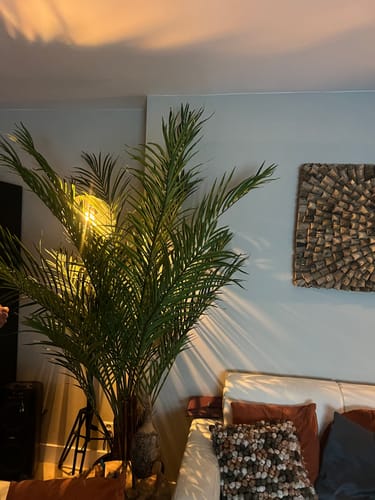 Customer photo review of Kunstpalm 210cm