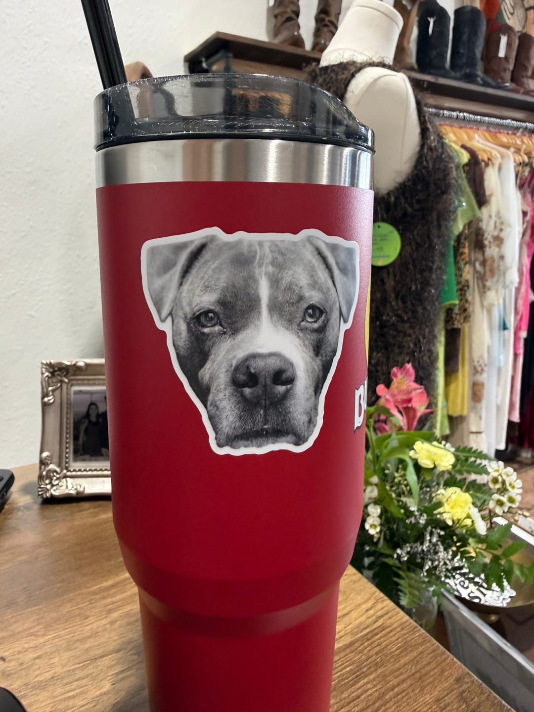 Customer photo review of Cut to Shape Stickers