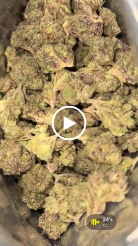 Customer video review of Girl Scout Cookies Smalls
