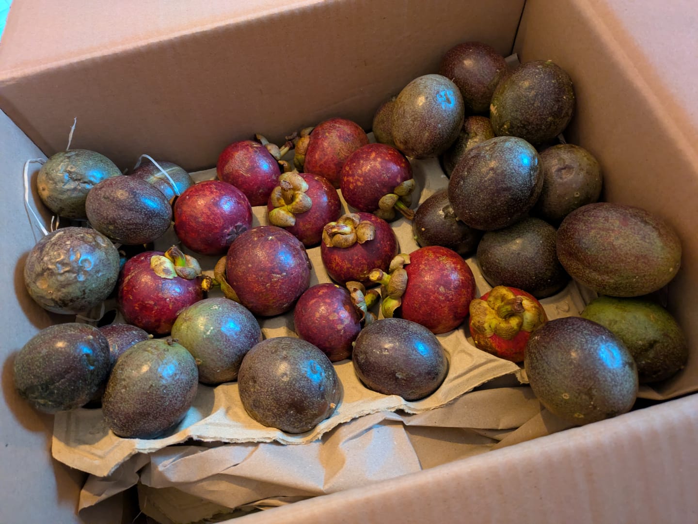 Customer photo review of Mangostan von Juan 1,5kg Box Sonderaktion %