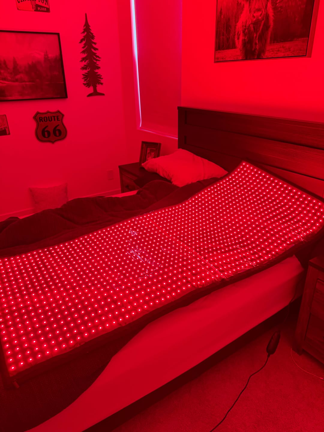 Customer photo review of Red Light Therapy Mat With Near-Infrared