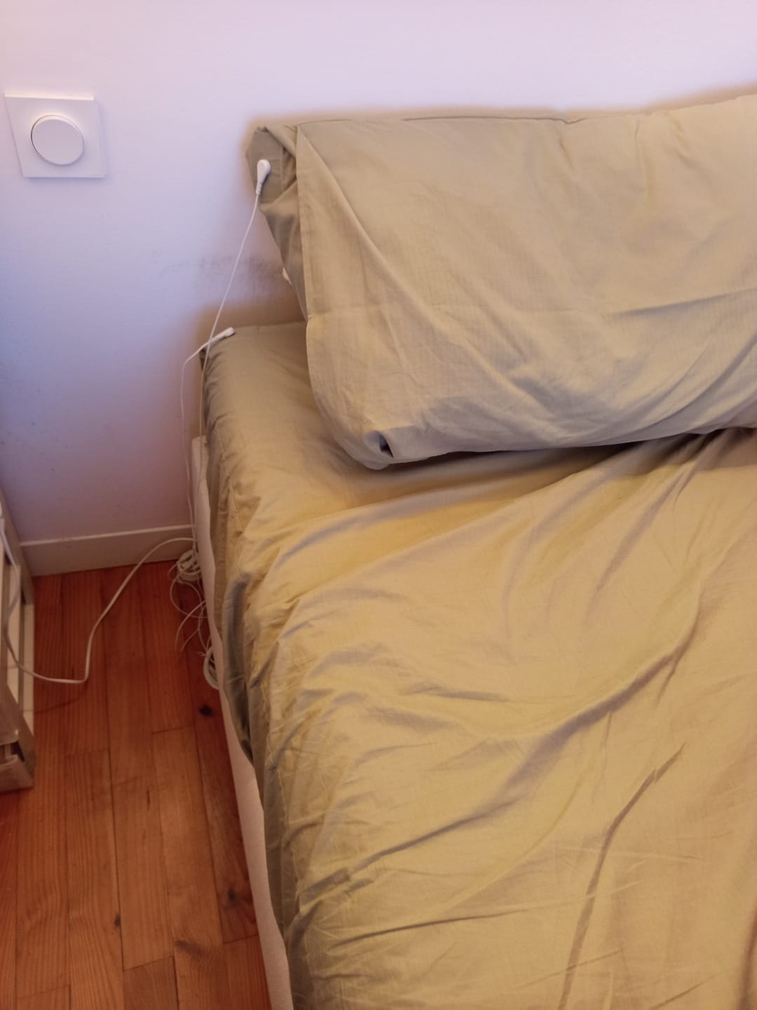 Customer photo review of Offert ! Pdf gratuit à partager, comprendre le earthing
