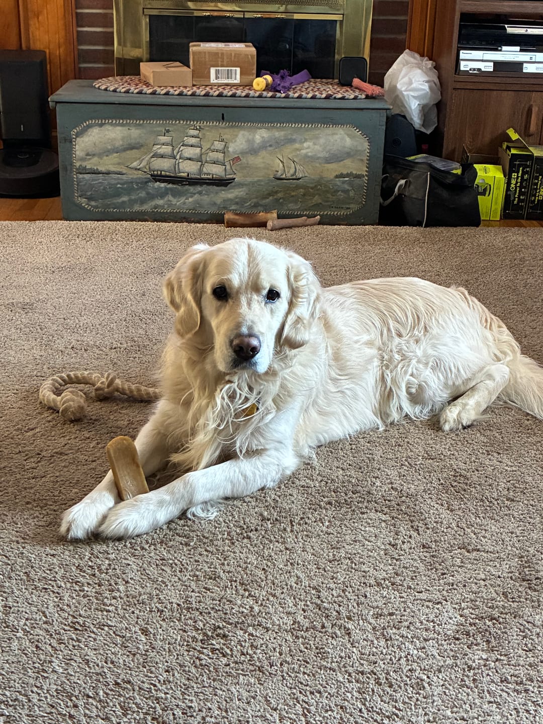 Customer photo review of Himalayan Yak Cheese Chew Dog Treat