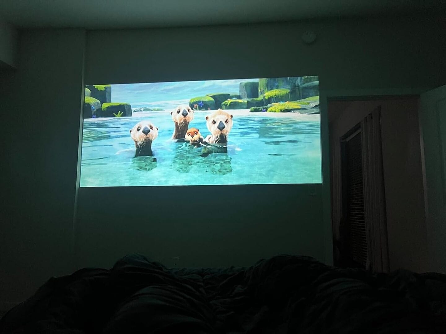 Customer photo review of Zoomly® Pro Max Smart Projector
