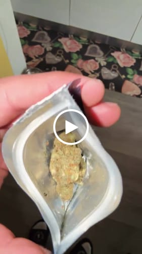 Customer video review of Miracle Alien Cookies (CALI) THCA Flower