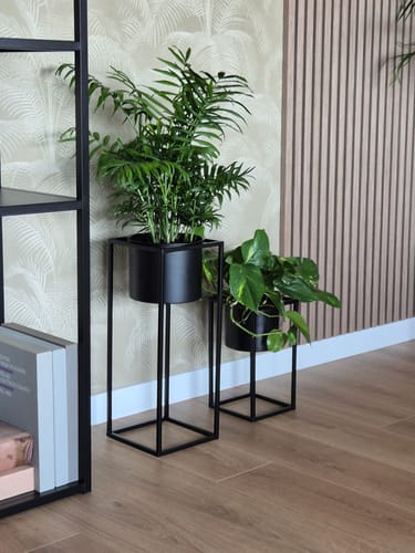 Recensent toont de set van twee zwarte Marla Bloempotten met planten erin in een woonkamer.