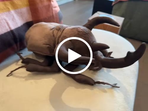Customer video review of Atlas Beetle Soft Stuffed Plush Toy
