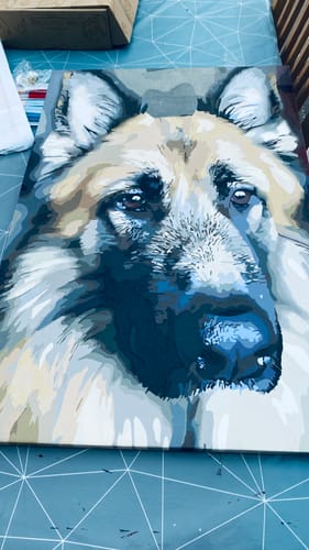 Reviewer's finished painting from a Custom Paint by Numbers Kit, a detailed portrait of a German Shepherd dog.