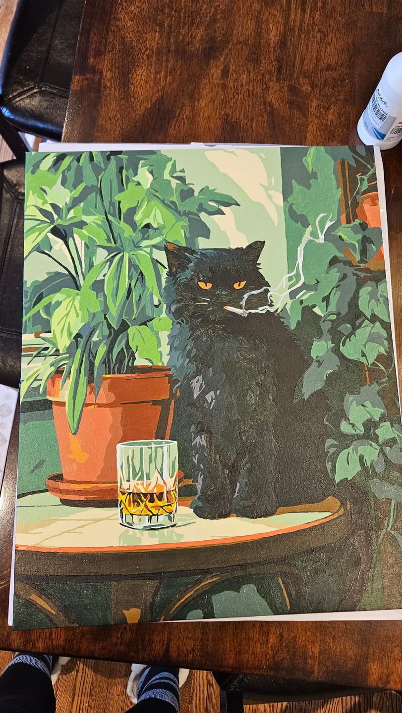 Customer photo review of Grumpy cat | Paint by Number