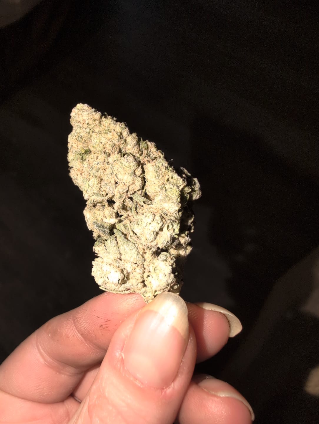 Customer photo review of THCA Snowballs - 67% THCA