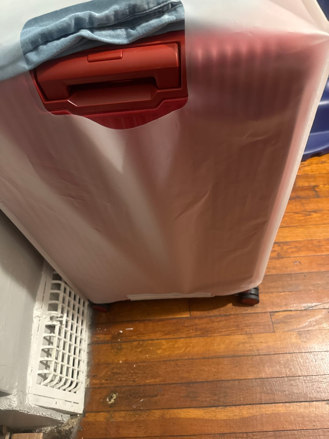 Customer photo review of Check-In: All-In-One 28"