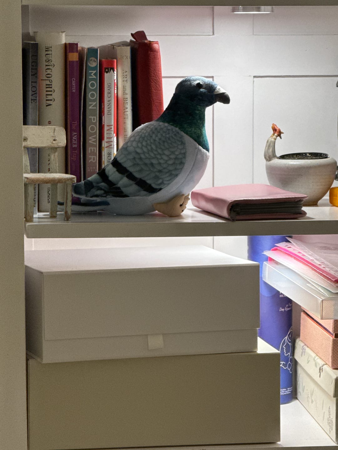 Customer photo review of Common Pigeon Bird Soft Stuffed Plush Toy