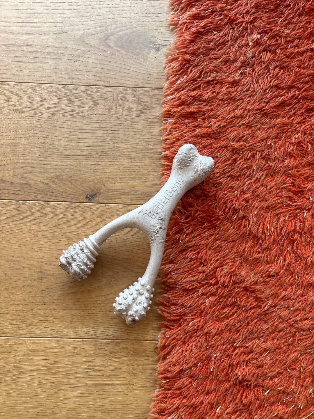 Customer photo review of BetterBone Hundeknochen – Nachhaltig, Zahnfreundlich & Langlebiges Kauspielzeug