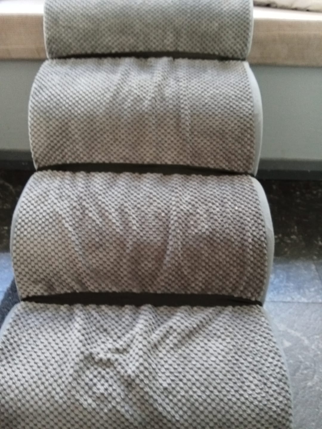 Customer photo review of Foam Pet Steps for Small & Large Dogs