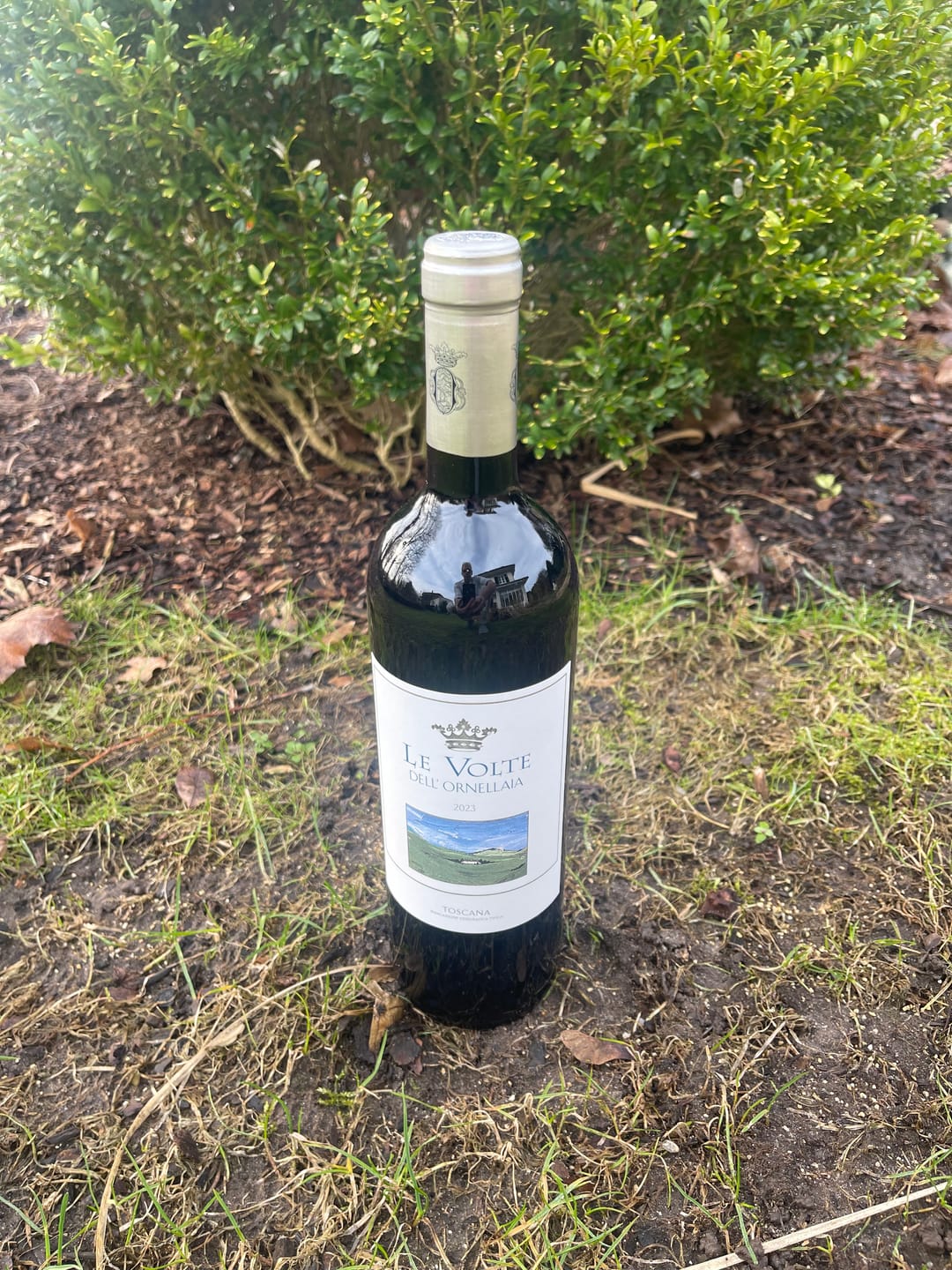 Customer photo review of Le Volte Dell'Ornellaia Toscana IGT, 6 Fl. | alc. 13,5%
