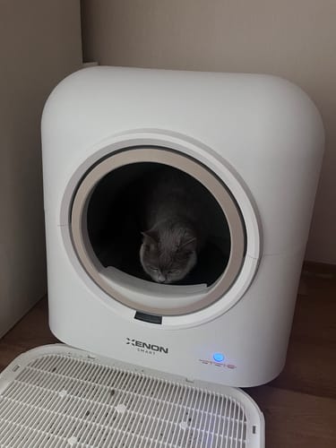 Customer photo review of Otomatik Kedi Tuvaleti ve Kamera Seti