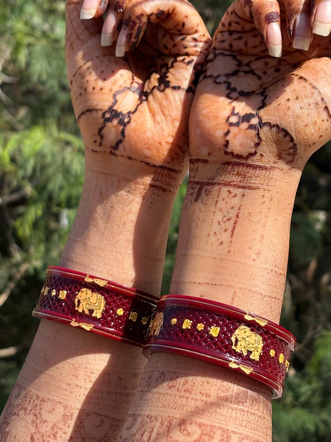 Customer photo review of Gaja-Sona Heritage: A Royal Legacy of Dark Garnet Colour with 22k Gold Elephant