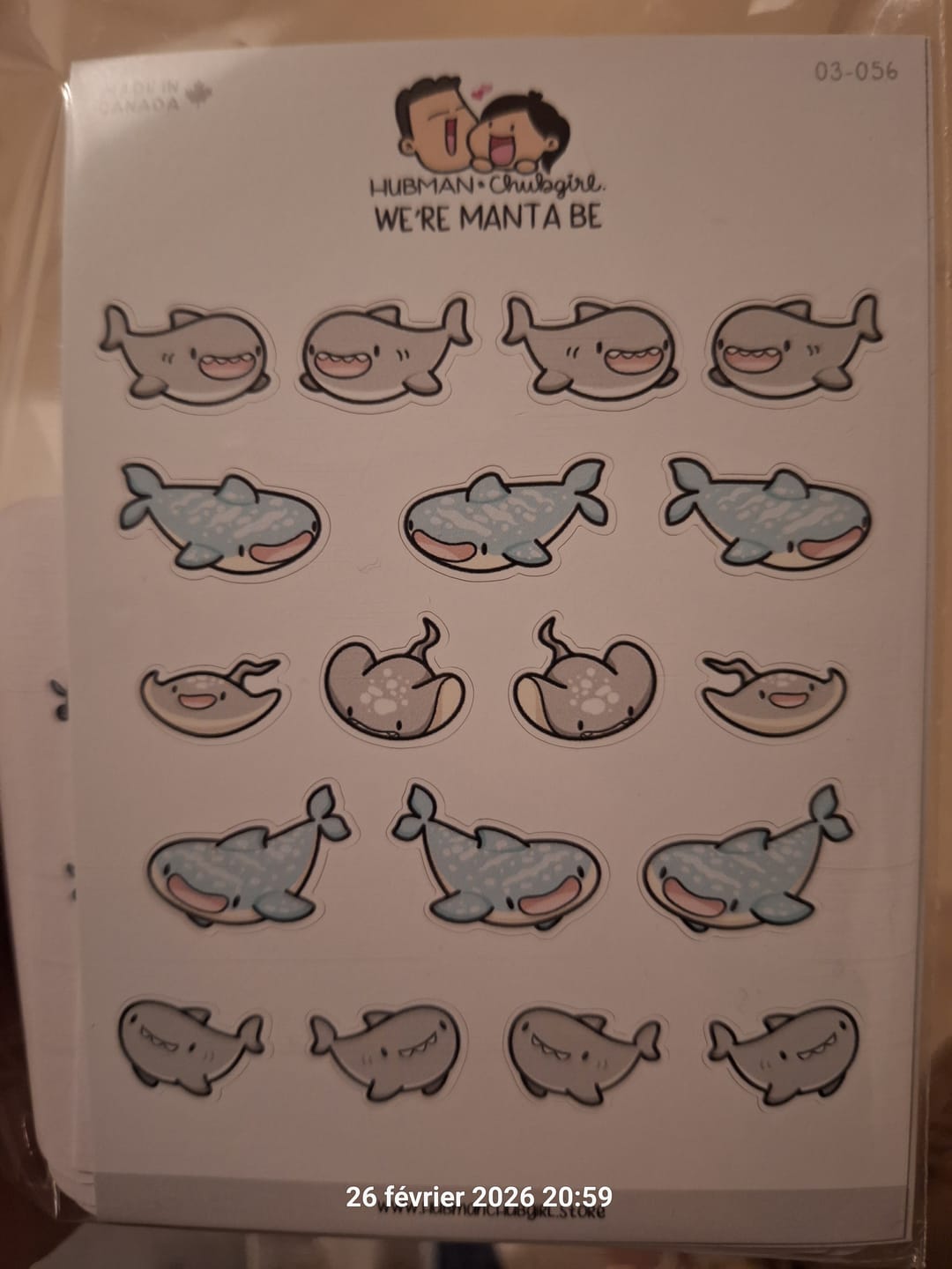 Customer photo review of We're Manta Be Planner Stickers