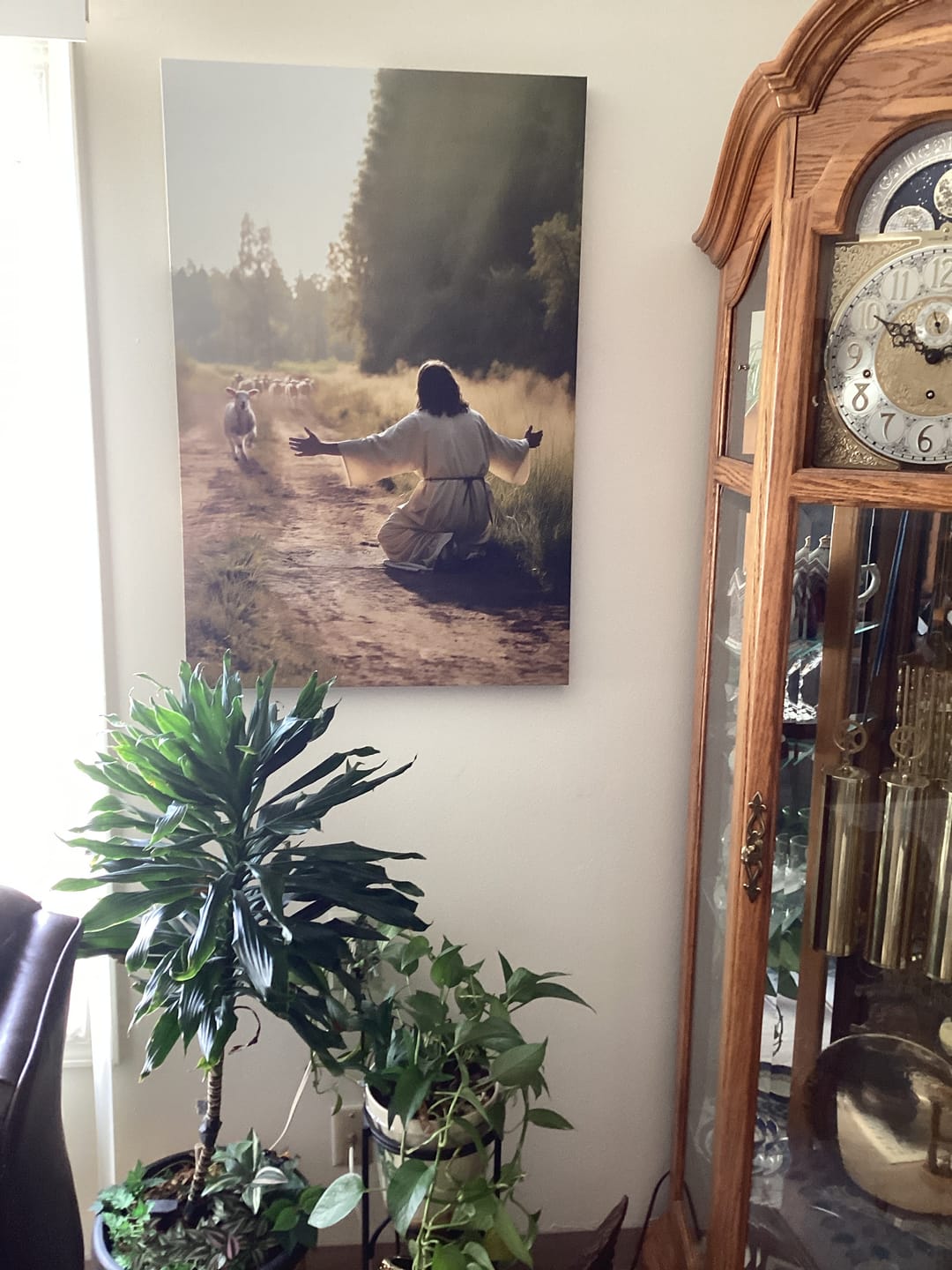 Customer photo review of Lamb Runs to Jesus Wall Art Canvas