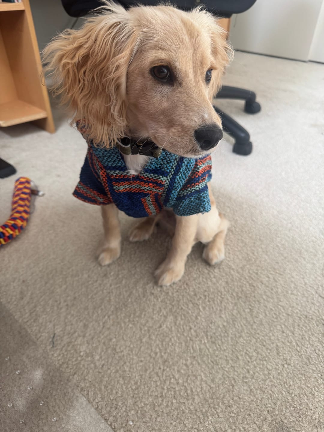 Customer photo review of Playa Poncho – Mystery Color (Bella, Charlie, or Fun Edition)