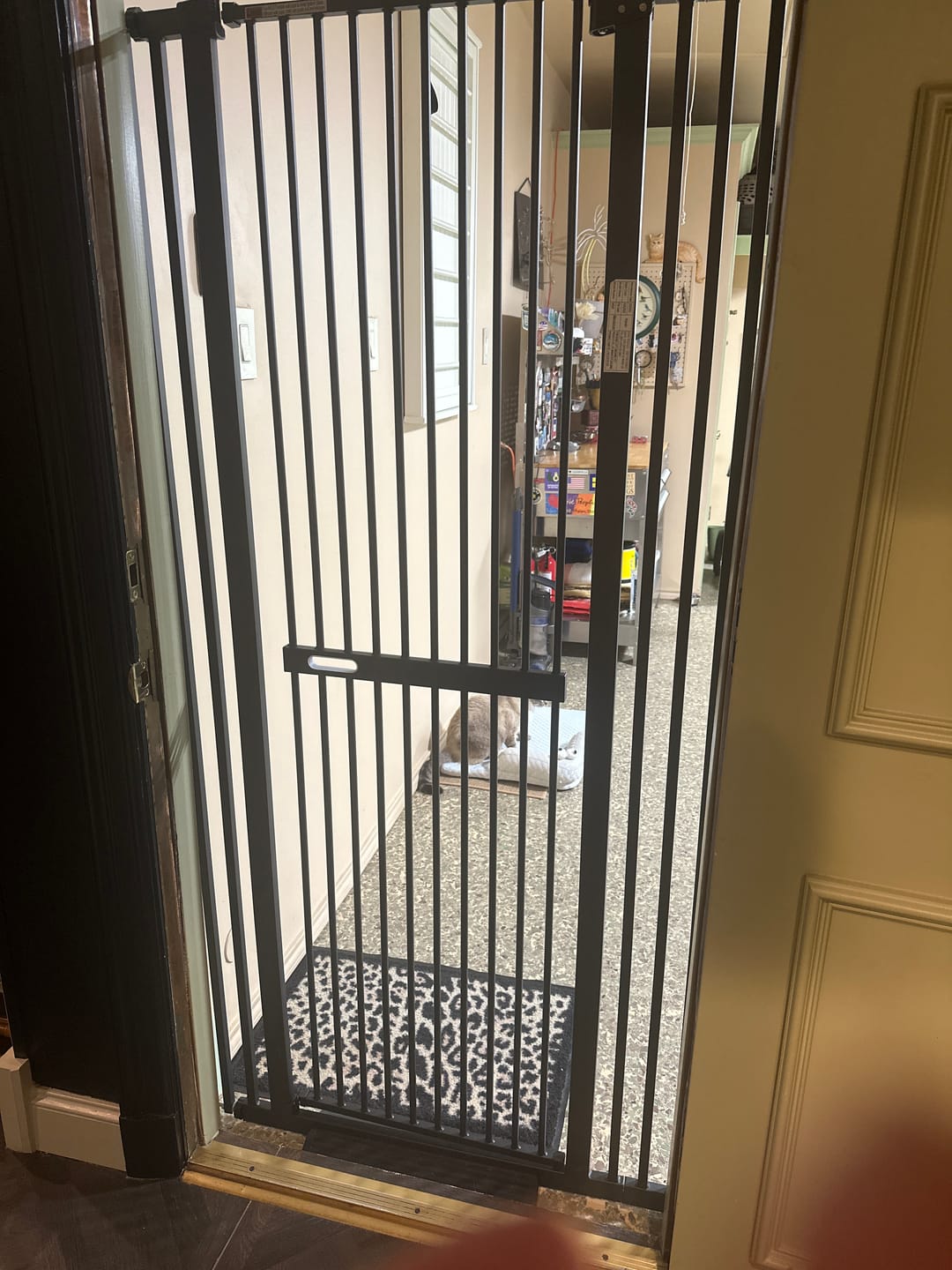 Customer photo review of FairyBaby 72" Tall Cat Gate with Narrow Bar Spacing