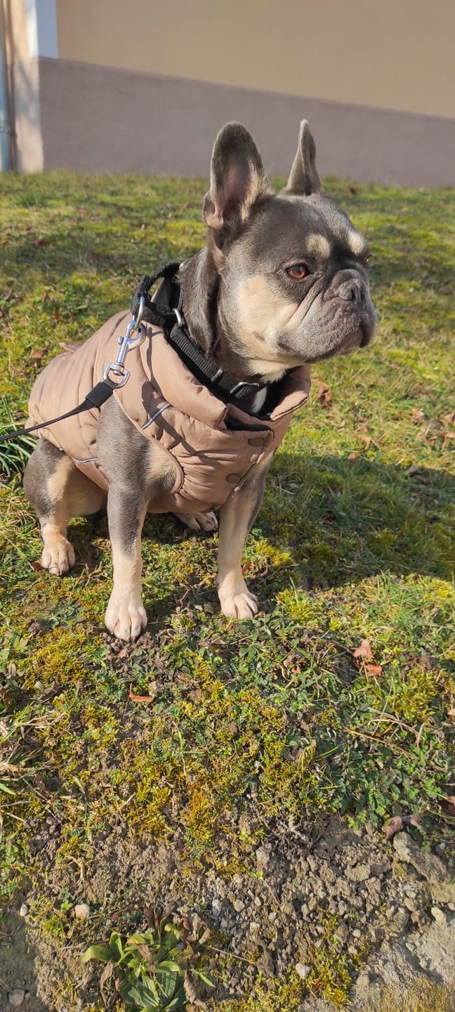 Customer photo review of WarmShield Water-Resistant Jackets