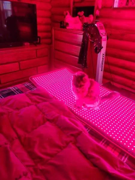 Customer photo review of Red Light Therapy Mat With Near-Infrared
