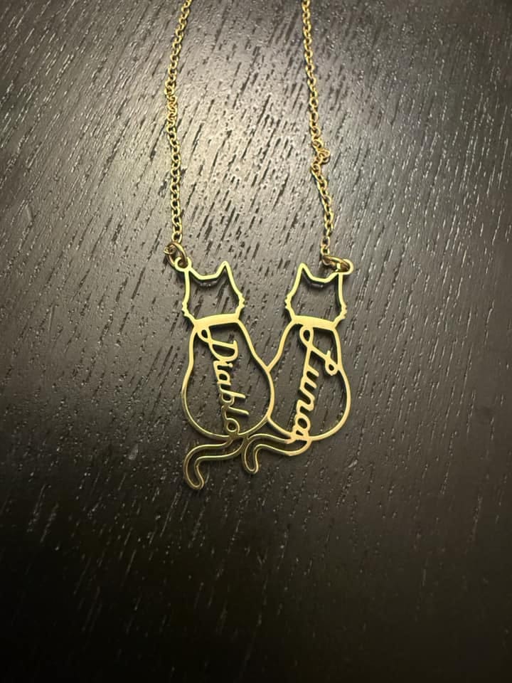 Customer photo review of Collar personalizado con nombre de gato