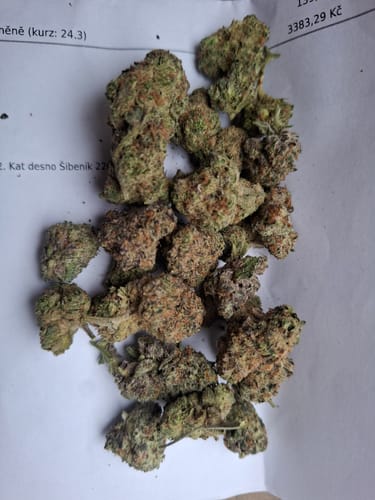 Customer's California Love THCA Flower showing a pile of dense, green buds on a piece of paper.