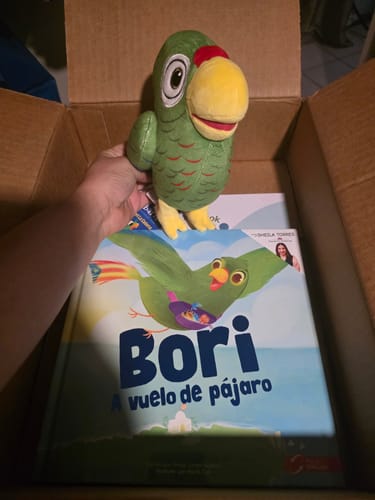 Customer photo review of Bori: A Vuelo de Pájaro | Libro Bilingüe
