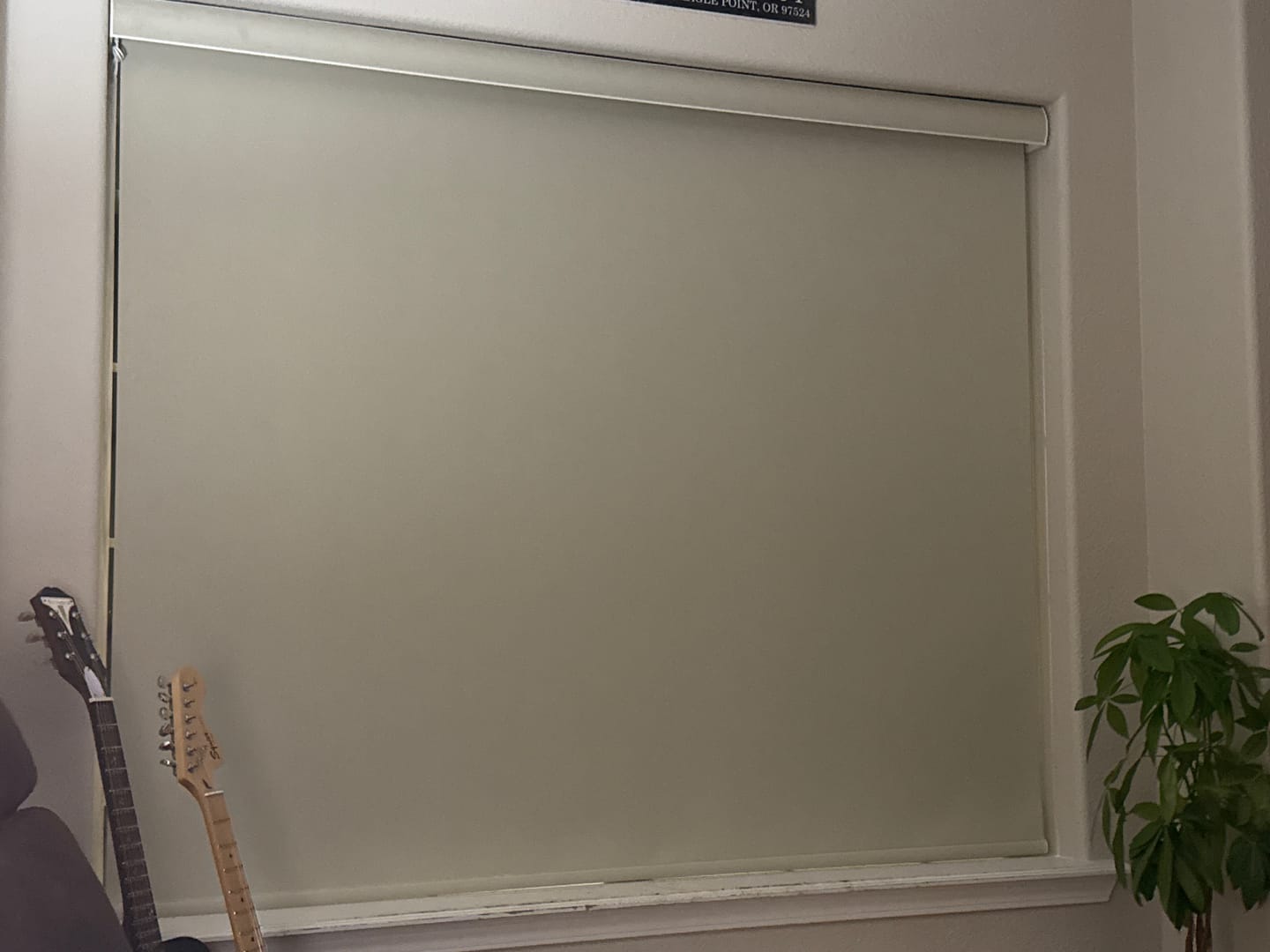Customer photo review of SmartWings Motorized Roller Shades 100% Blackout Dual-Sided Bouvardia